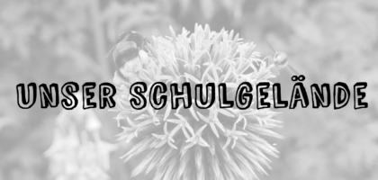 Unser Schulgelände: Was bisher geschah